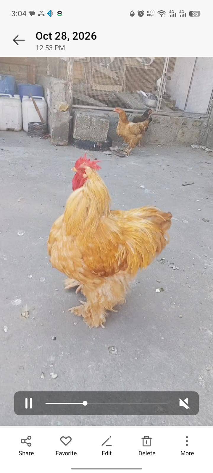 Bufff 1