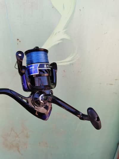Fishing Rod