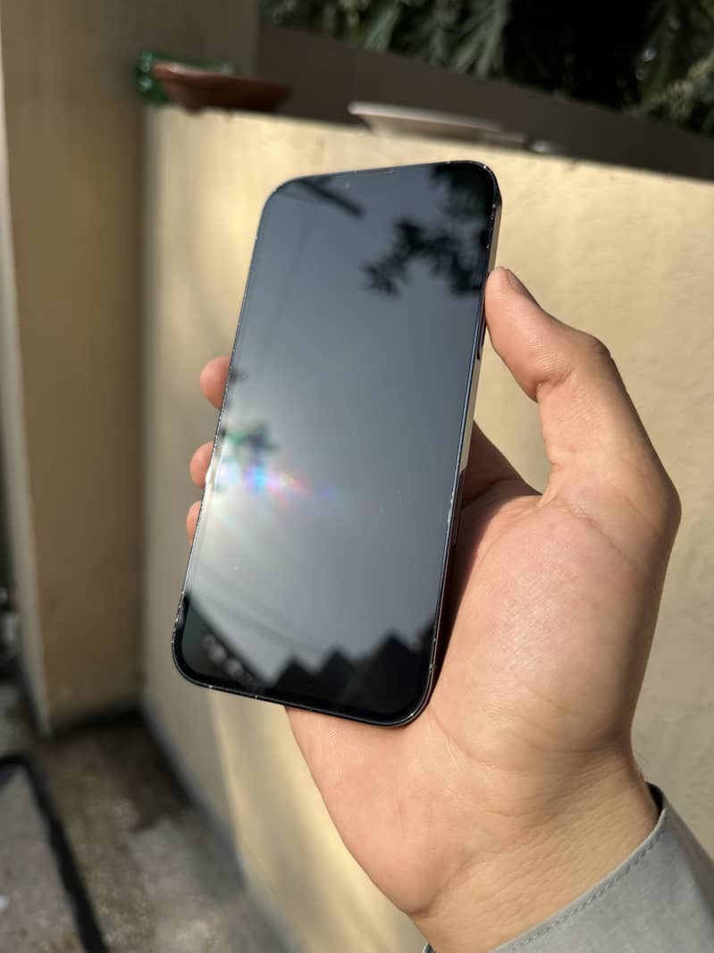 Apple iPhone 13 Pro Max 1