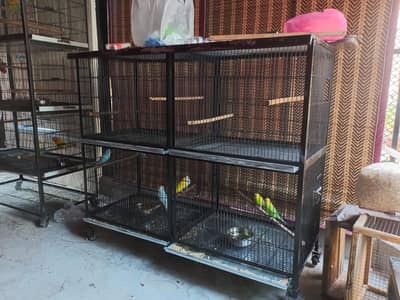 Bird Cage for Sale – 4 Portions, Angle Frame