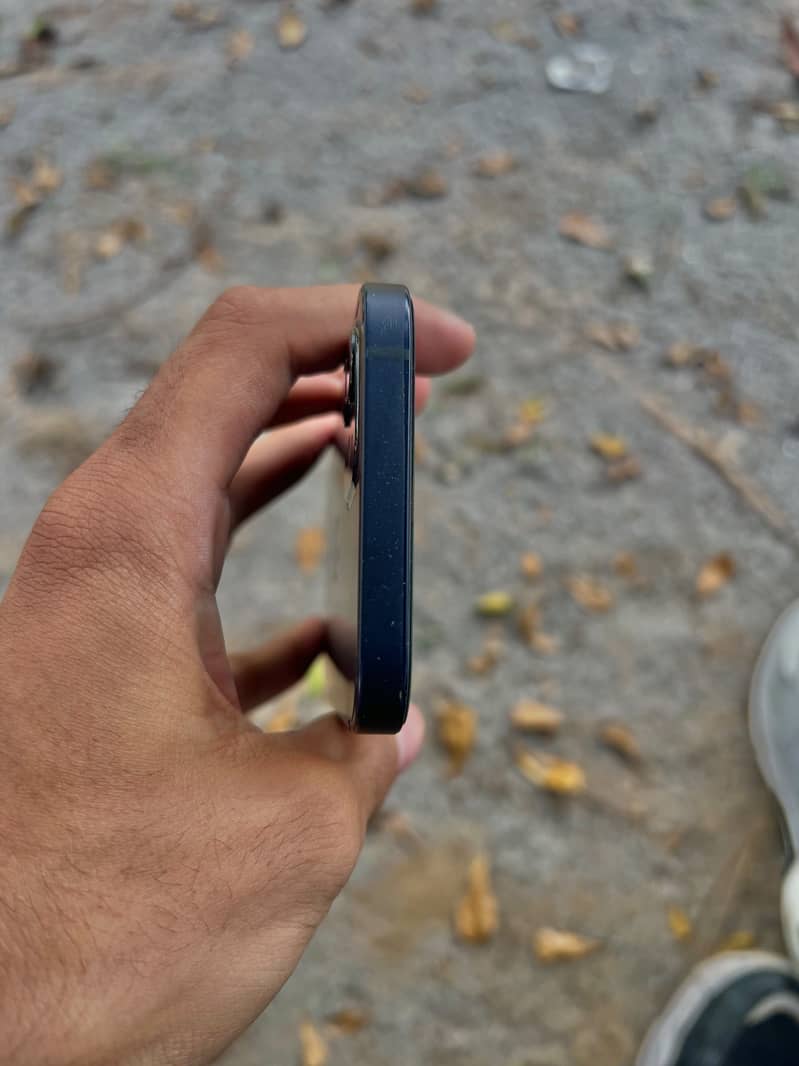 Apple iPhone 12 5