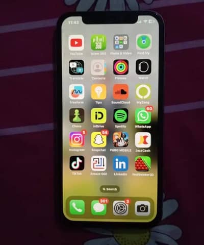 Apple iPhone X