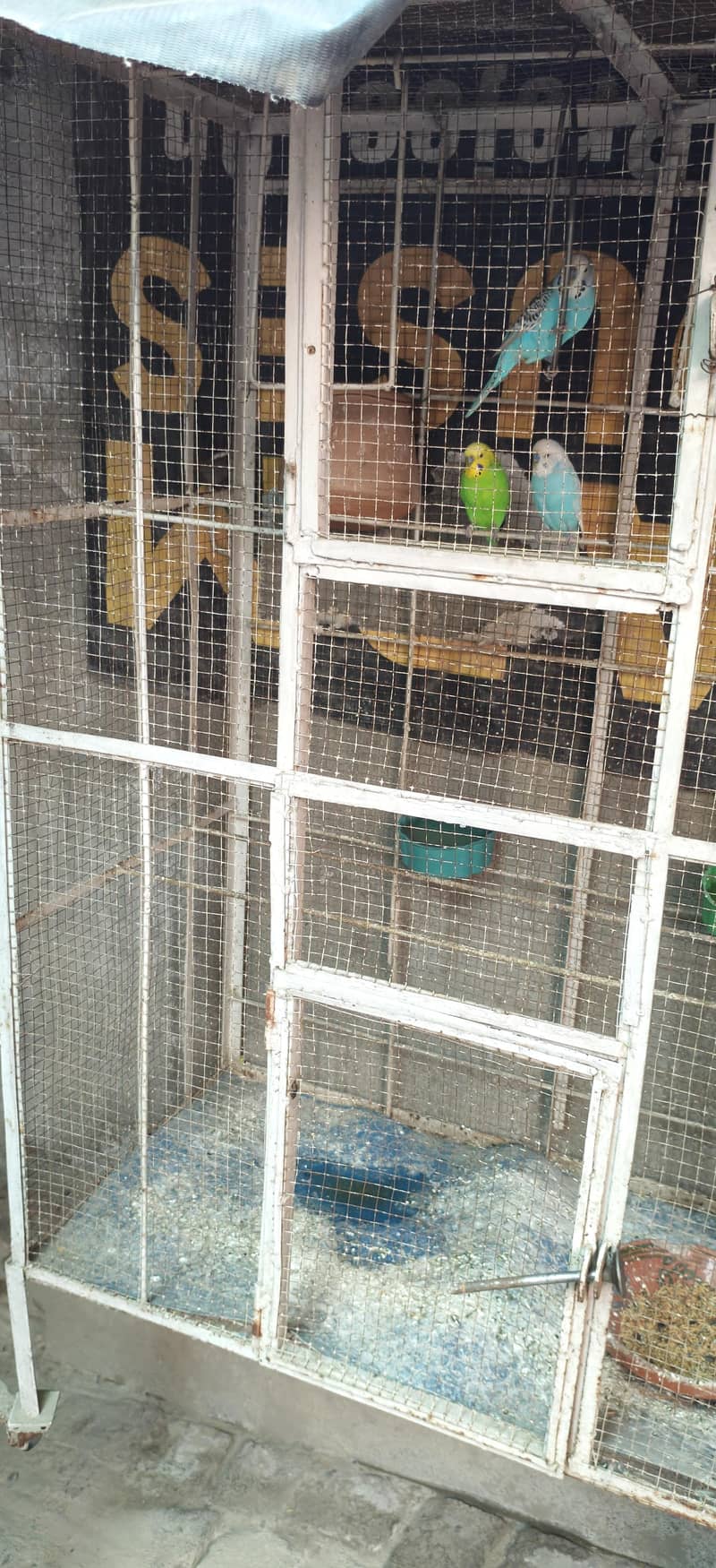 birds cage 0