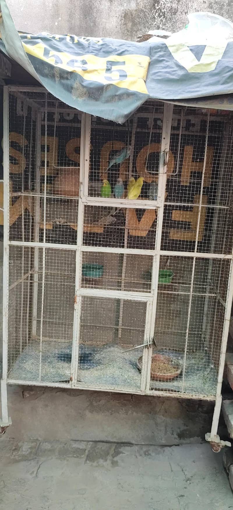birds cage 1