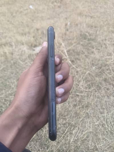 ipn XR