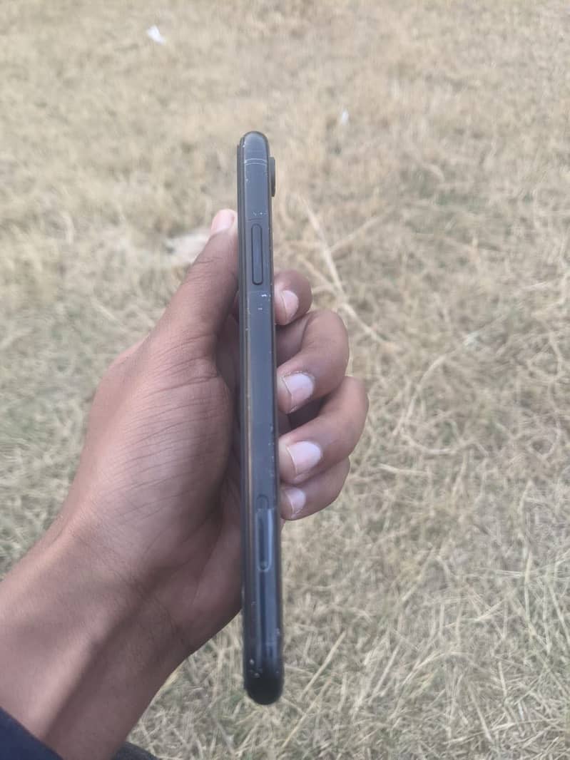 ipn XR 0