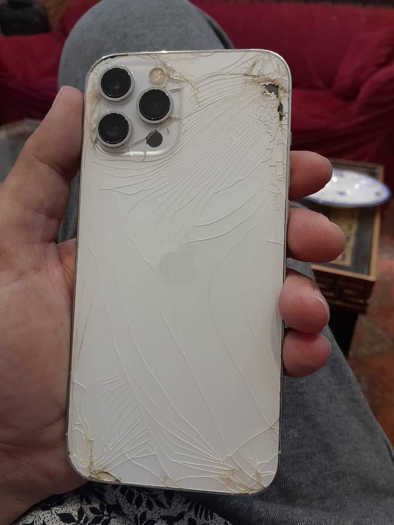 Apple iPhone 12 Pro Max 2