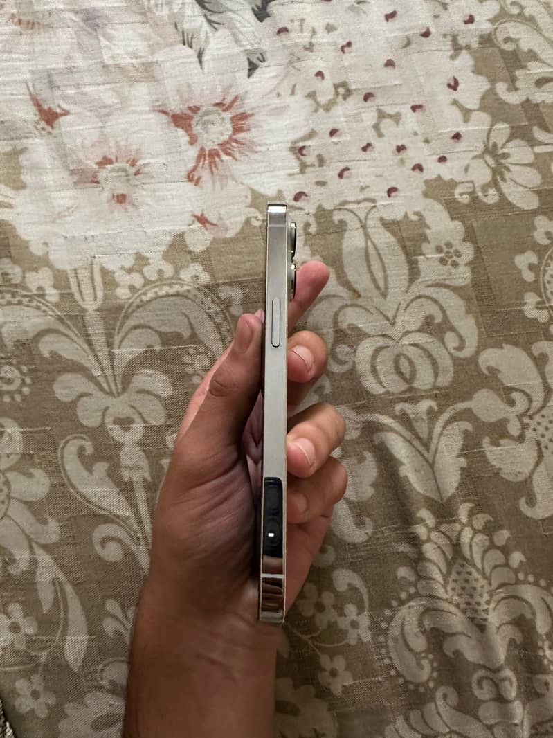 Apple iPhone 13 Pro 1