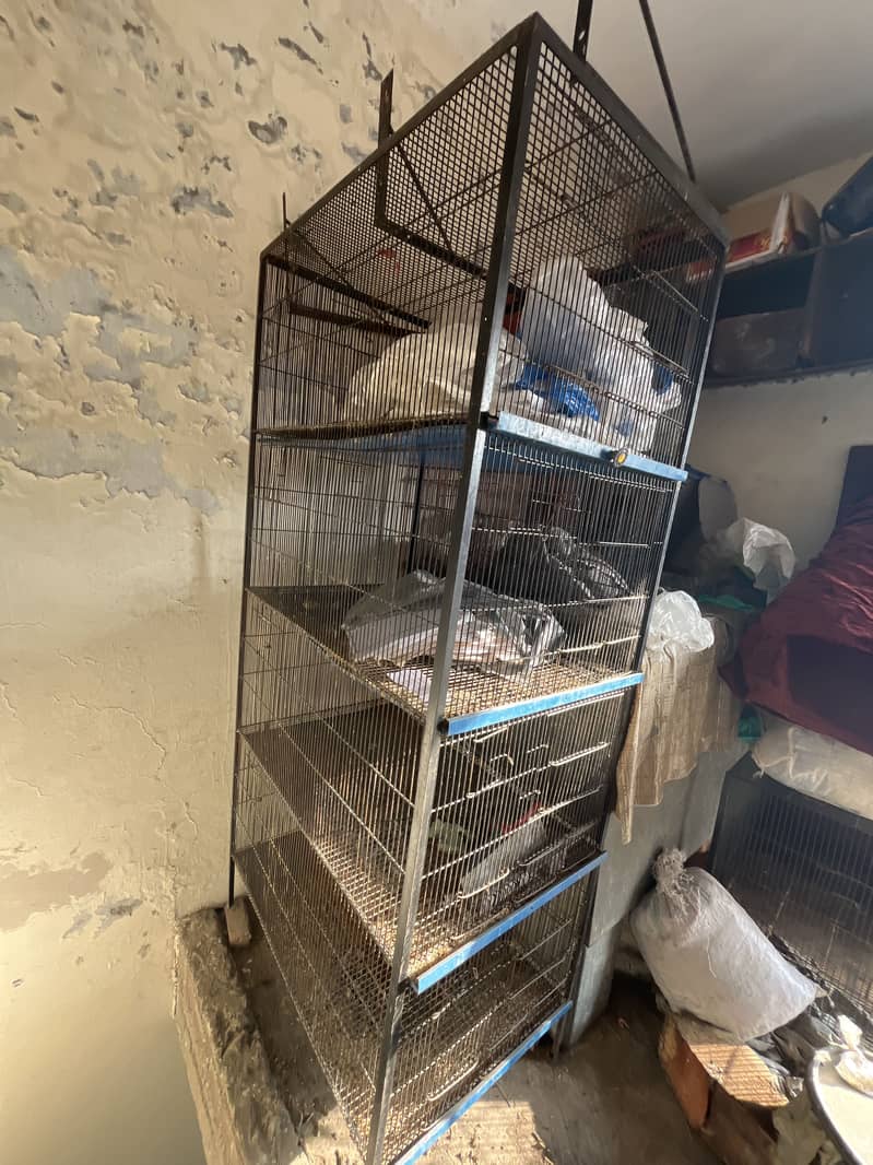 Flying cage 1