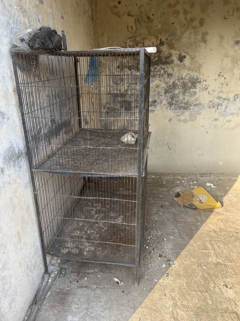 Flying cage 2