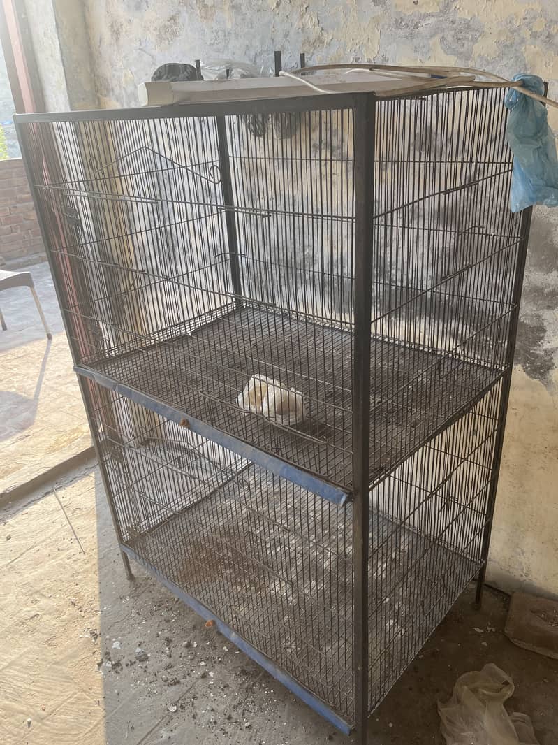 Flying cage 3