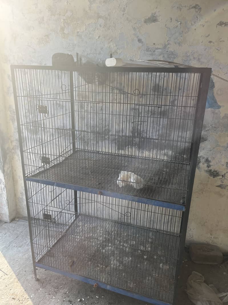 Flying cage 4
