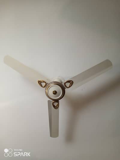 ceiling fan
