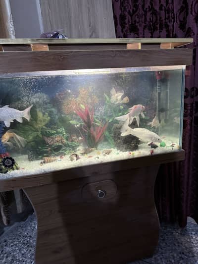 Selling fish tank