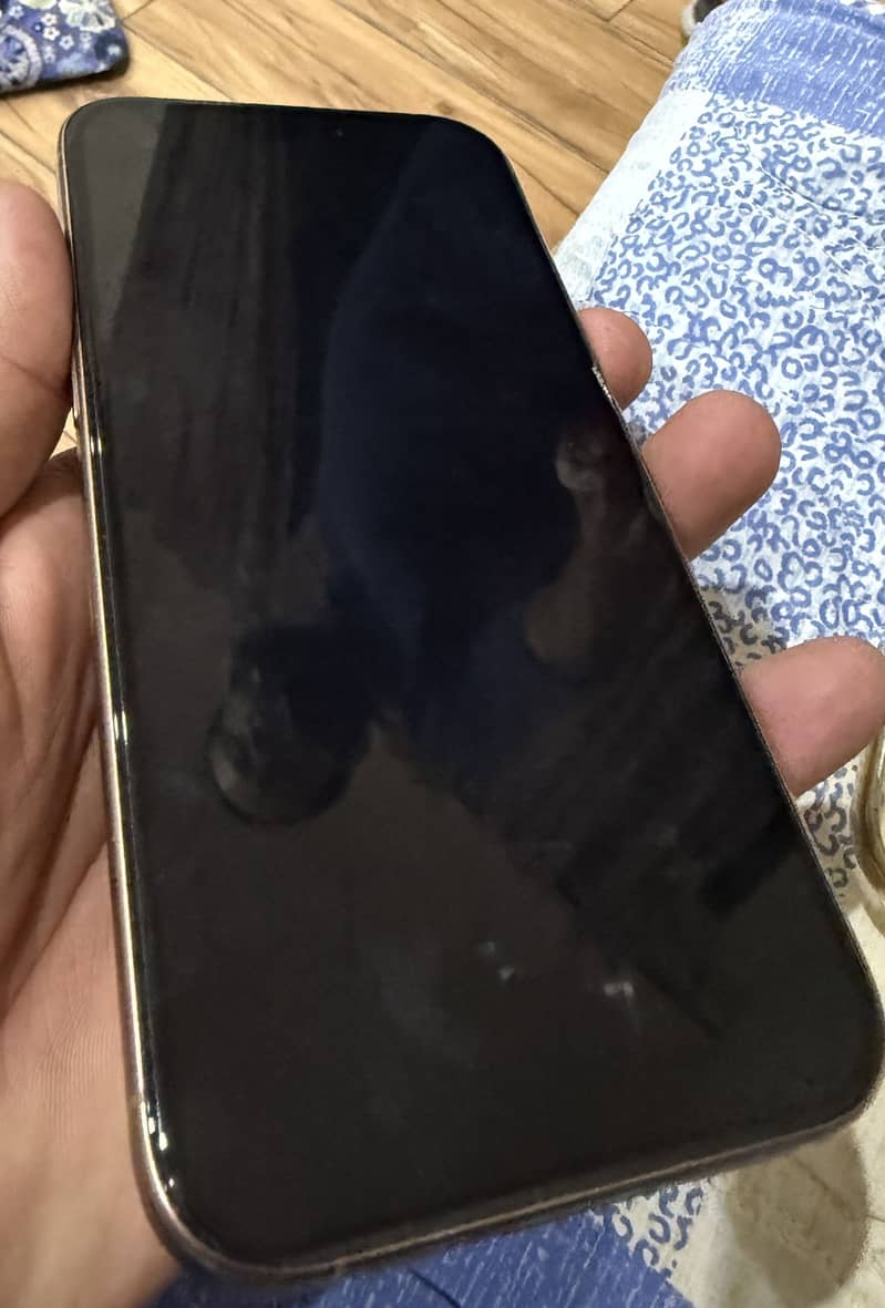 Apple iPhone 16 Pro Max 1