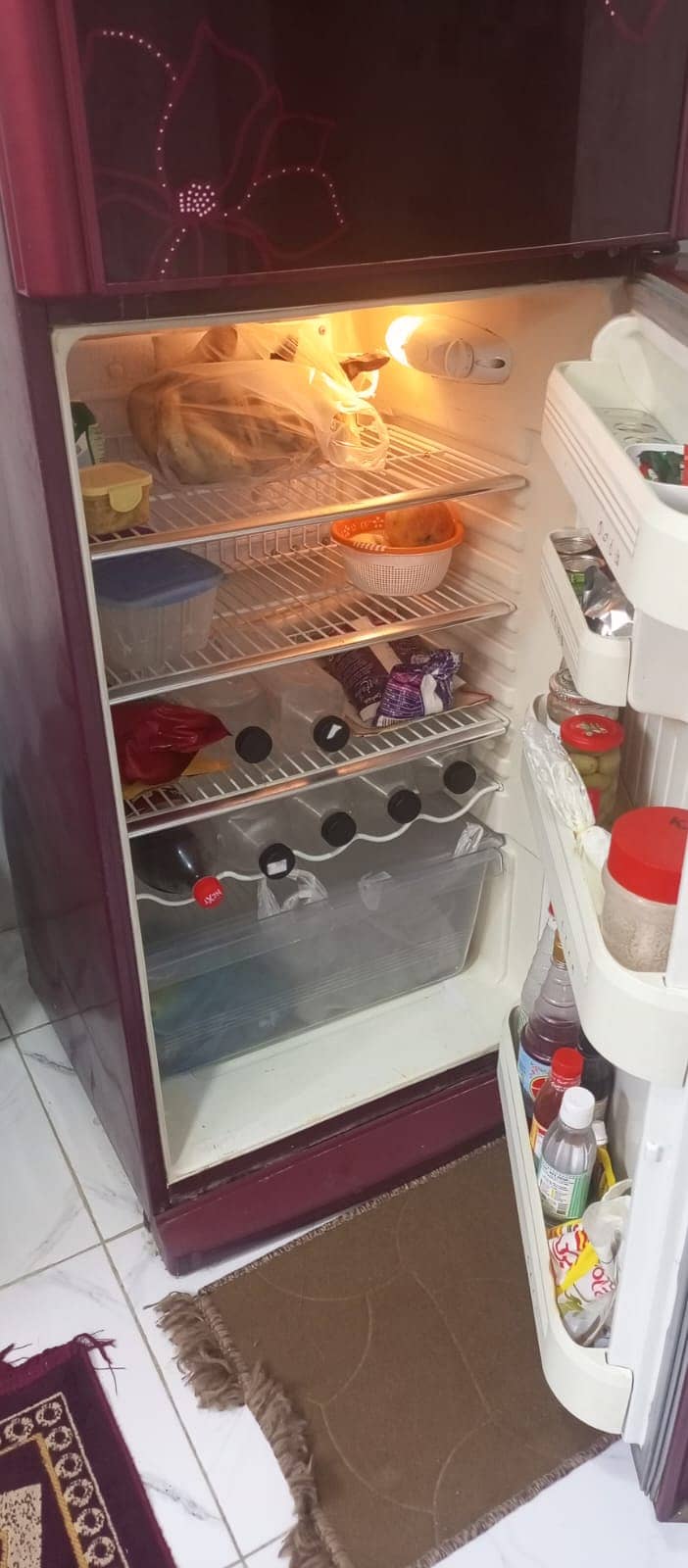 Orient Refrigerators 1