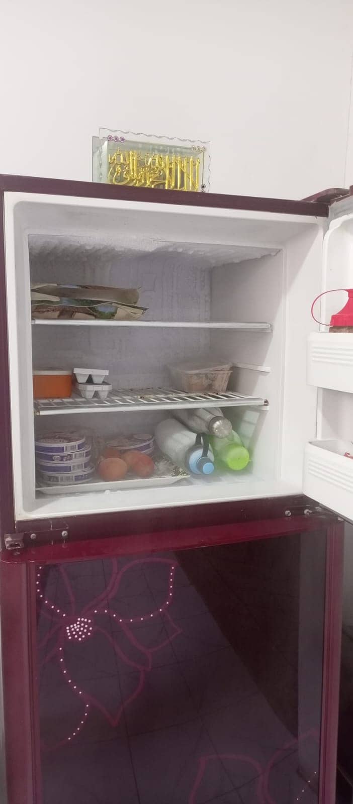 Orient Refrigerators 2