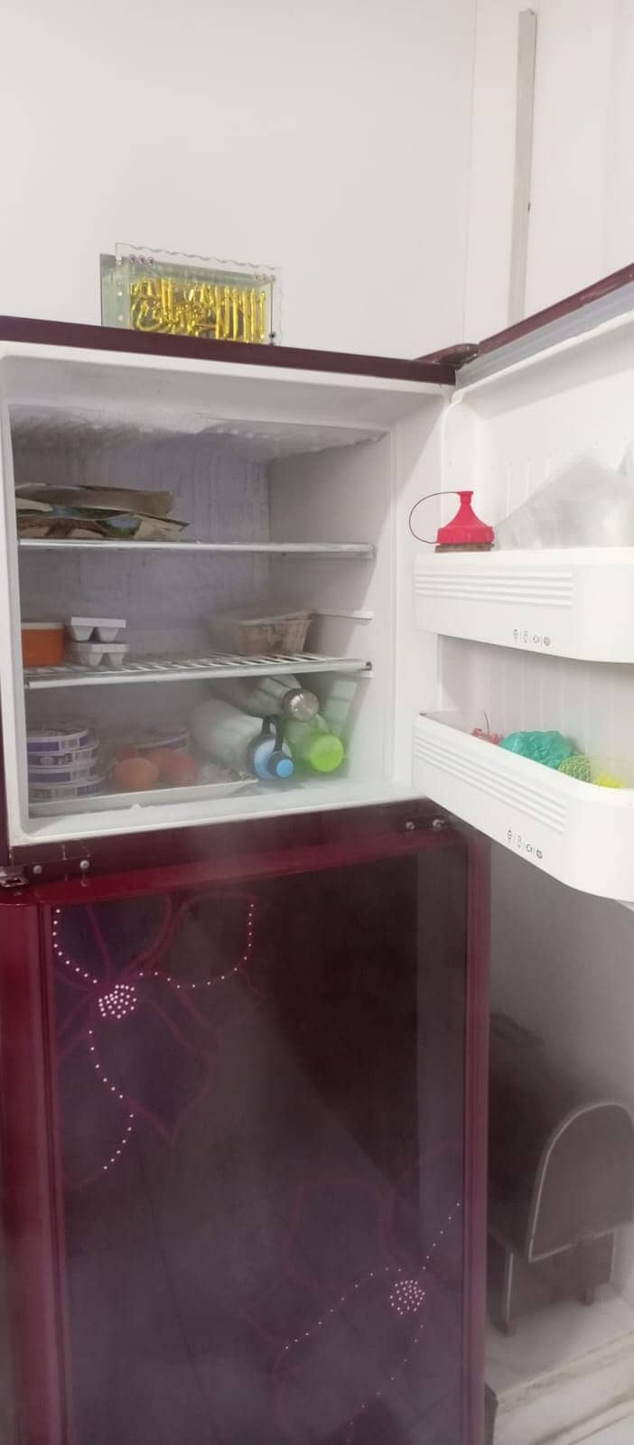 Orient Refrigerators 4