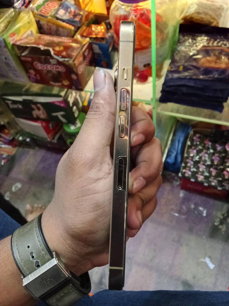 Apple iPhone 13 Pro 1