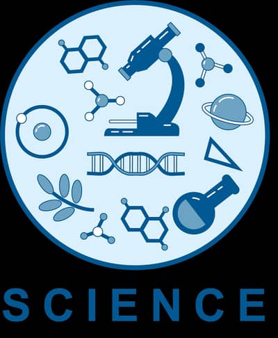 ONLINE TUITION- Science, Maths and Urdu. Grade 3-Grade 6