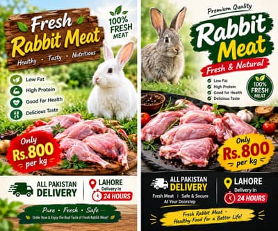 Rabbit Meat for Sale- Lahore