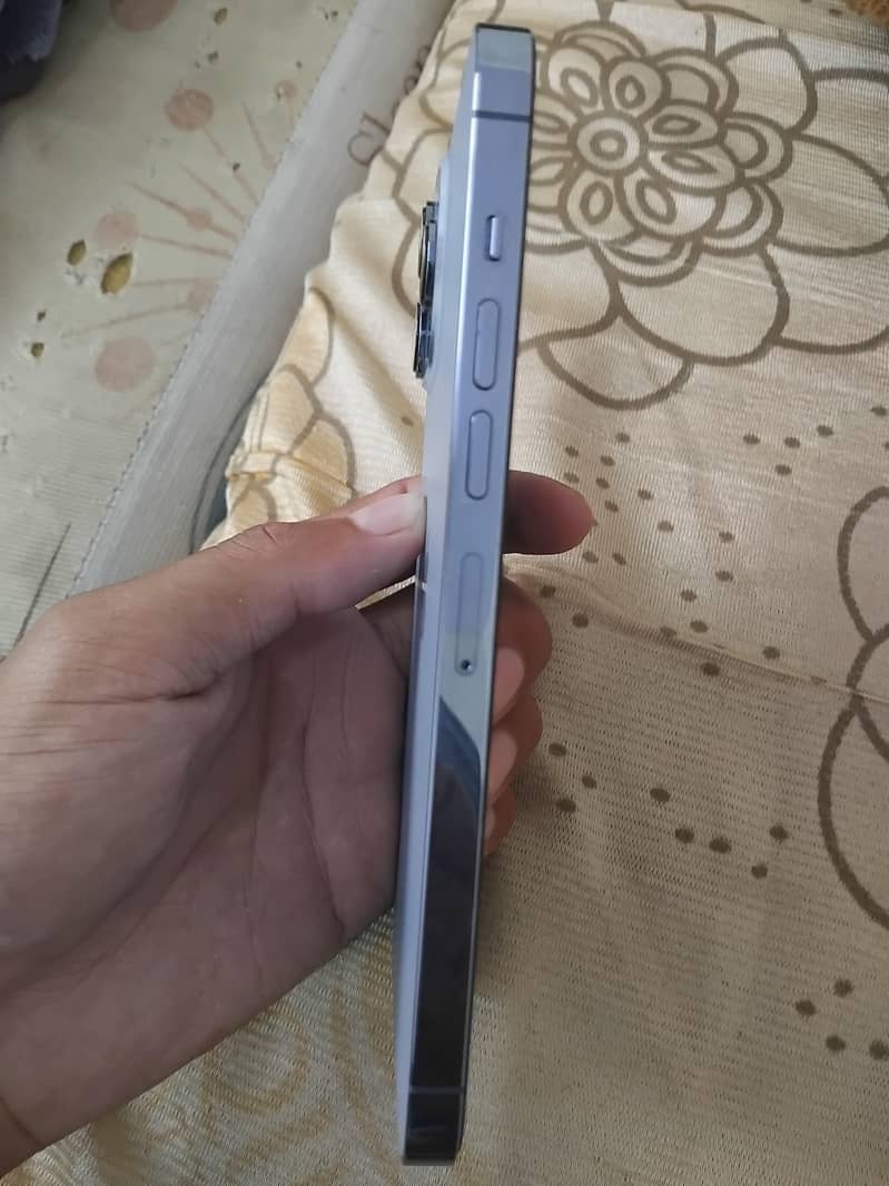 Apple iPhone 13 Pro Max 1