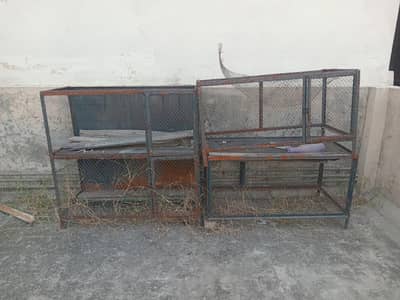 cage for birds hen parrots