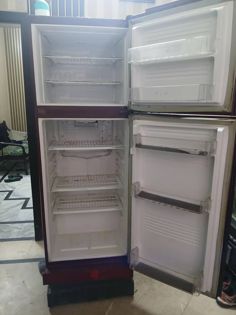 Pel Refrigerator 5