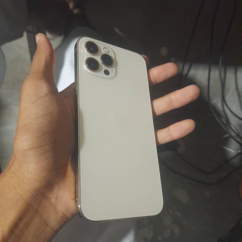 Apple iPhone 12 Pro Max 1
