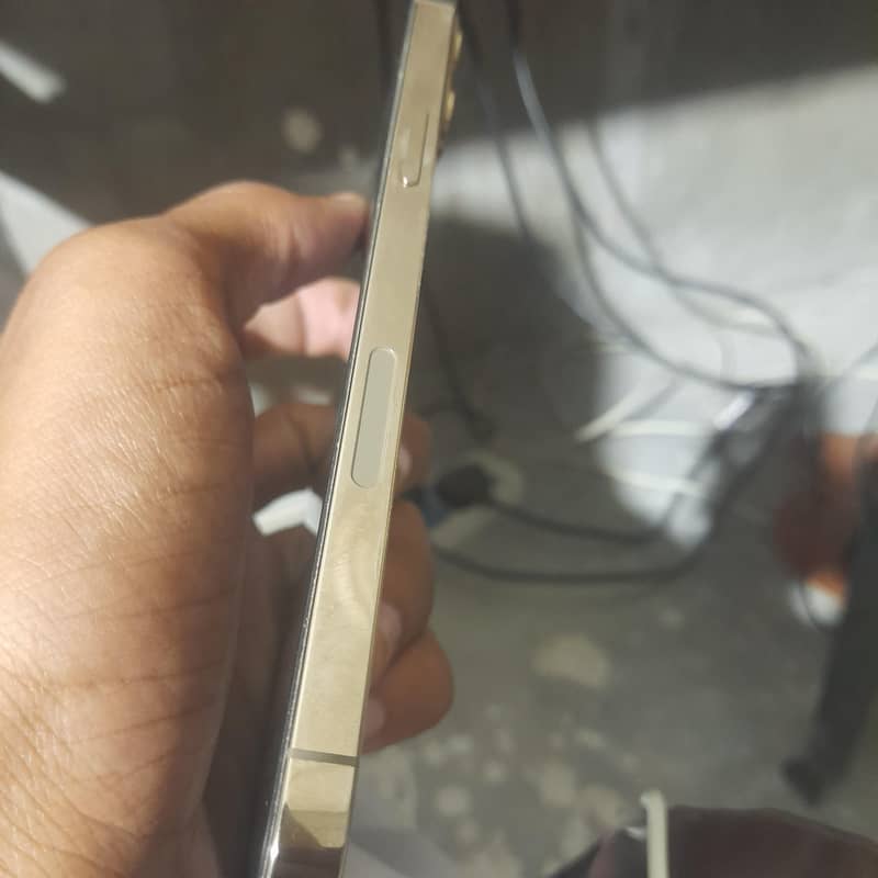 Apple iPhone 12 Pro Max 2