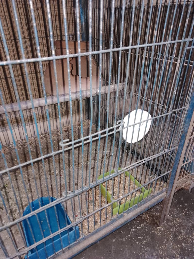 breeding pair. 7