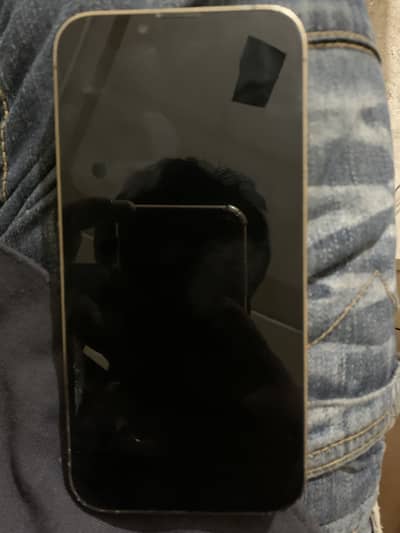 Apple iPhone 13 Pro
