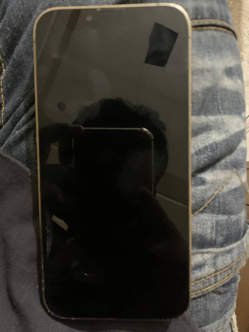 Apple iPhone 13 Pro 0