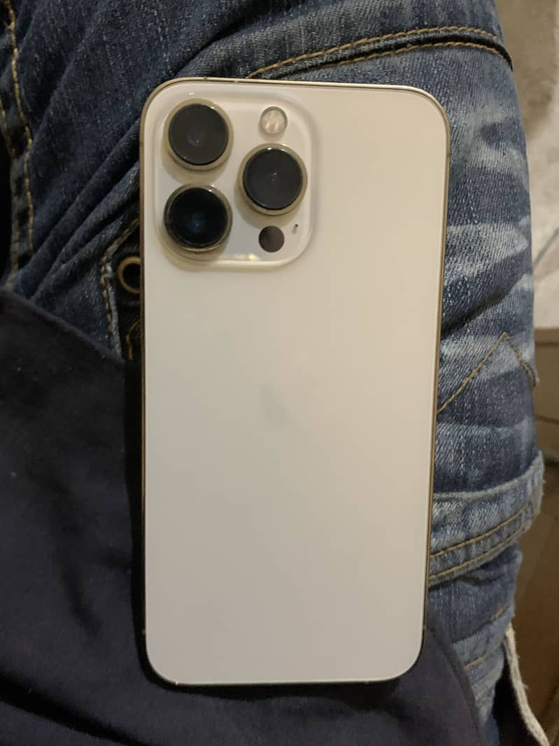 Apple iPhone 13 Pro 1
