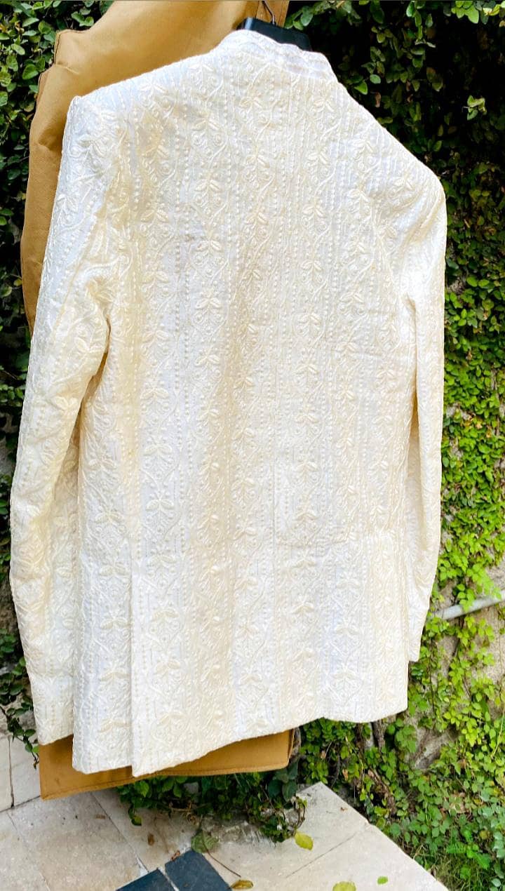 embroidered coat 3