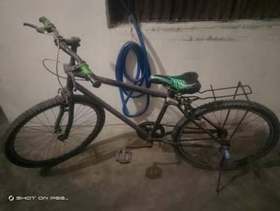-  Phoenix Bicycle for Sale – Good Condition