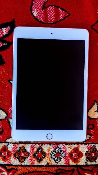 iPad Mini 5 0