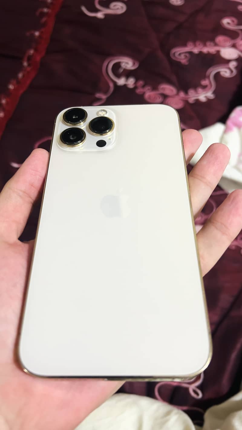 Apple iPhone 13 Pro Max 0