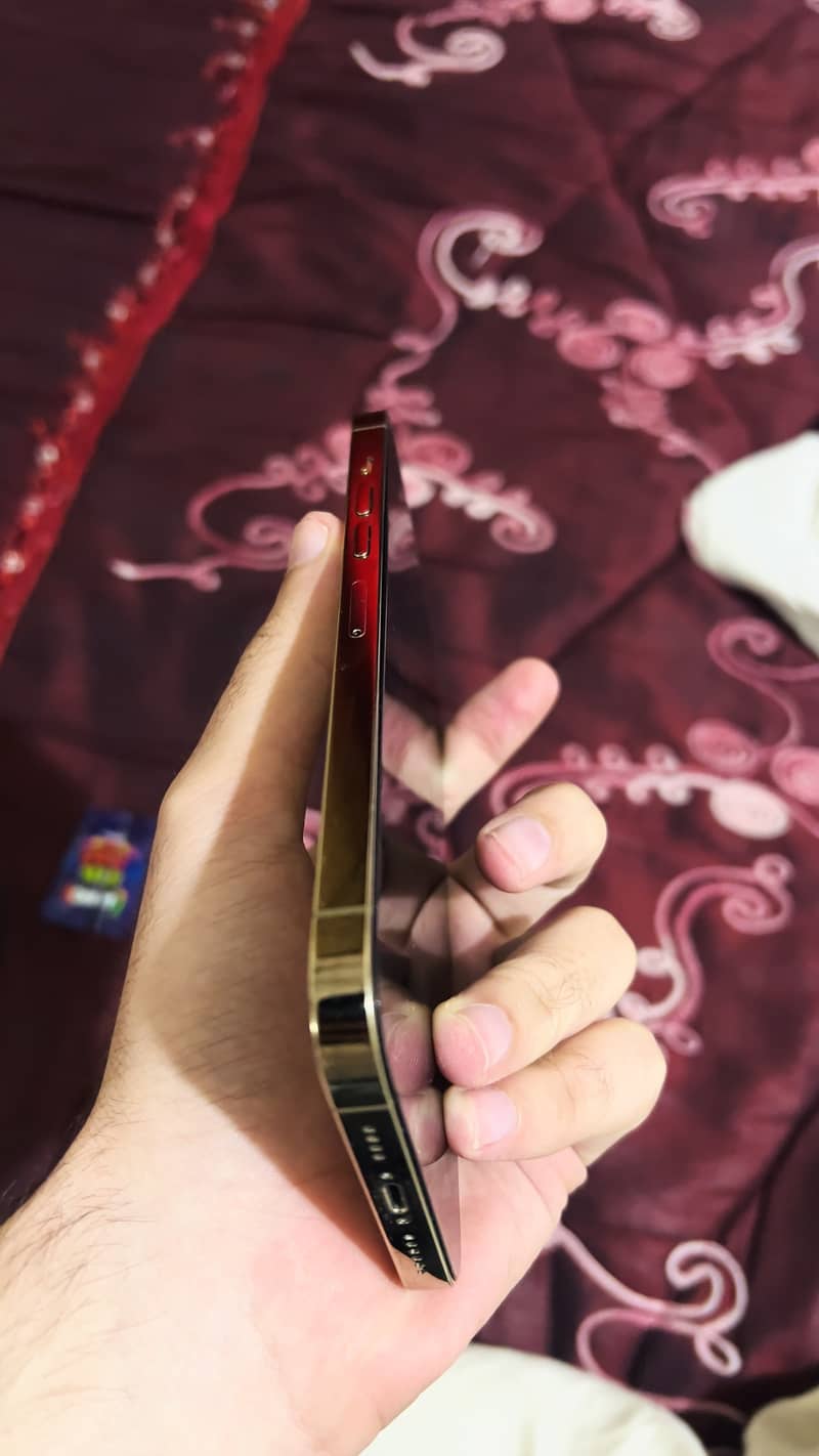 Apple iPhone 13 Pro Max 2
