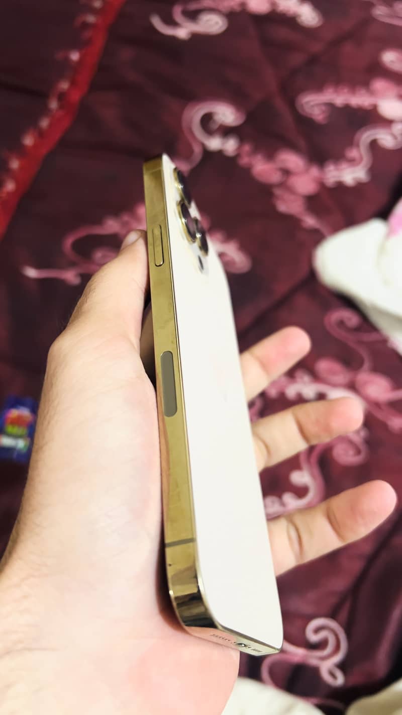 Apple iPhone 13 Pro Max 4