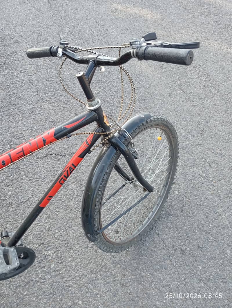 Phoenix Cycle 24 Number 1