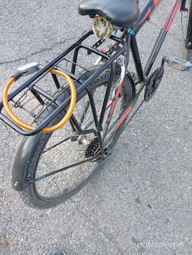 Phoenix Cycle 24 Number 2