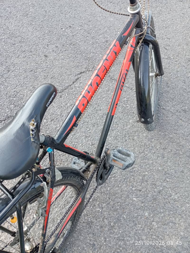 Phoenix Cycle 24 Number 3