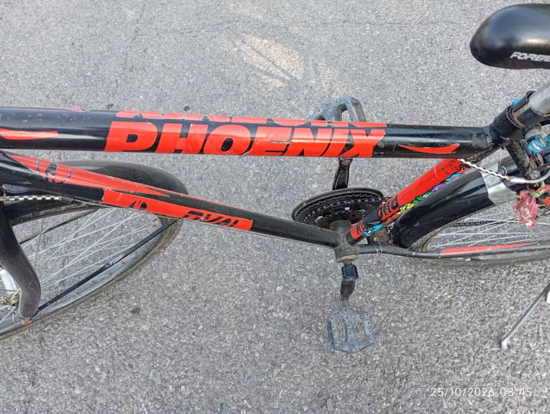Phoenix Cycle 24 Number 4
