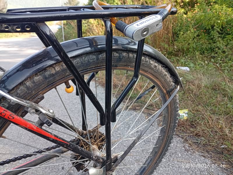 Phoenix Cycle 24 Number 5