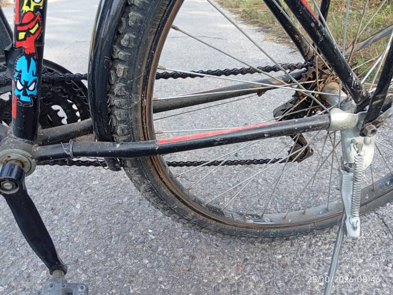 Phoenix Cycle 24 Number 6