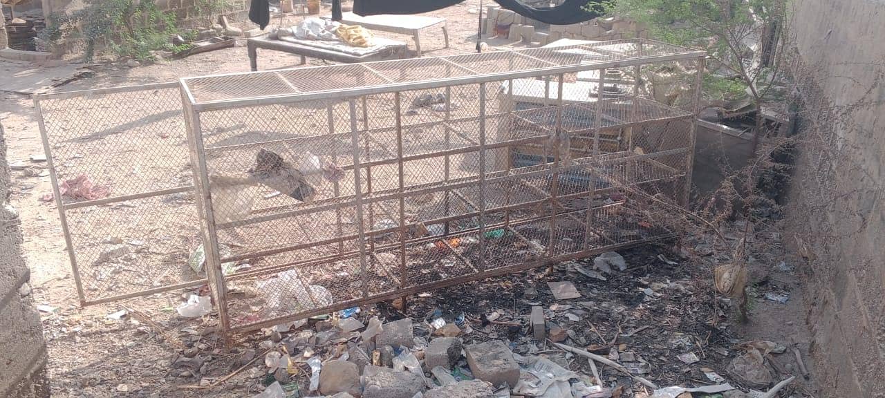 cage pinjra 2