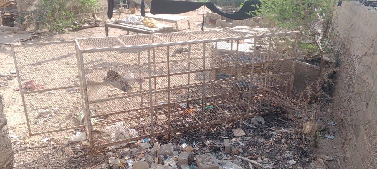 cage pinjra 3