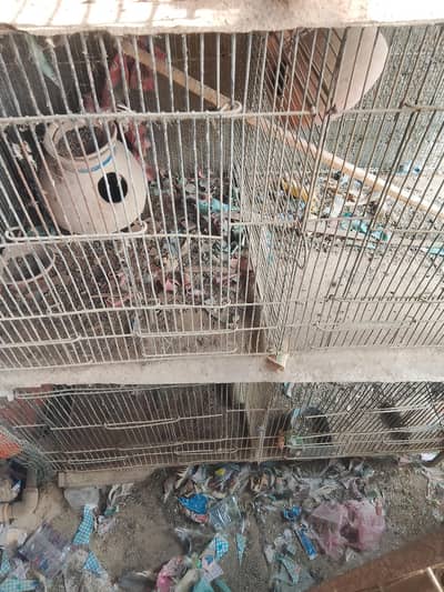 8 portion cage