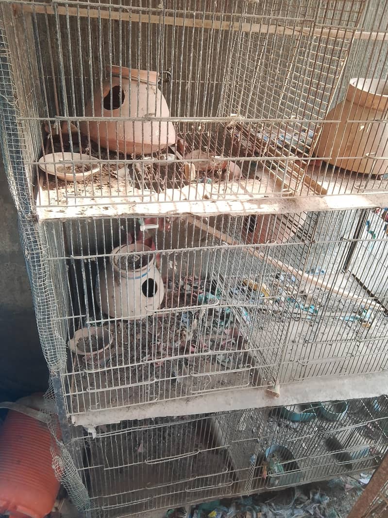 8 portion cage 3